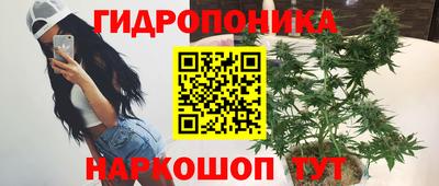 молекула духа Заволжье