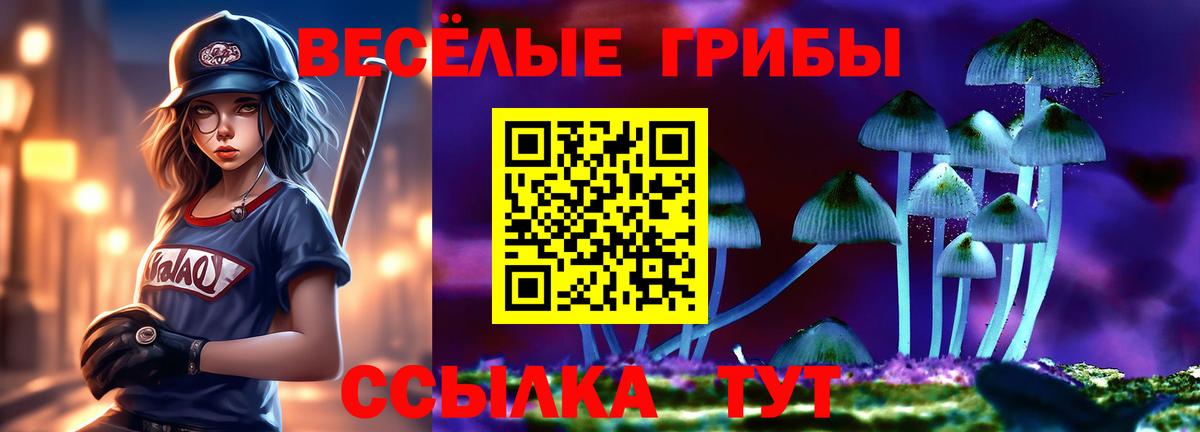 Дальнереченск  Псилоцибиновые грибы MAGIC MUSHROOMS  Вход с VPN  Псилоцибиновые грибы Cubensis 